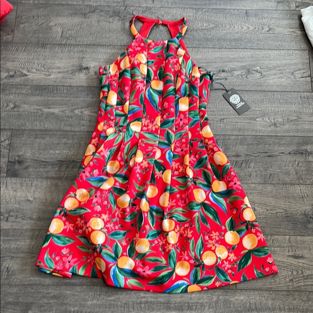Vince Camuto Size 6 Dress